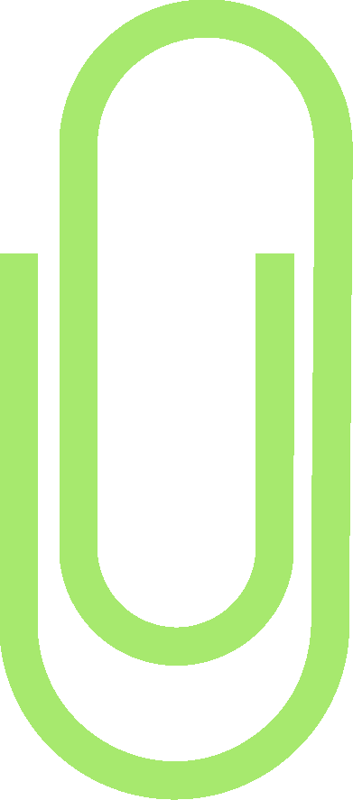 球迷谈“苏超”丨盐城队在成长