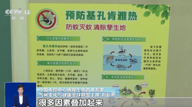 一问到底丨“基孔肯雅热”为何今年这么猛？有无特效药？点蚊香有用吗？
