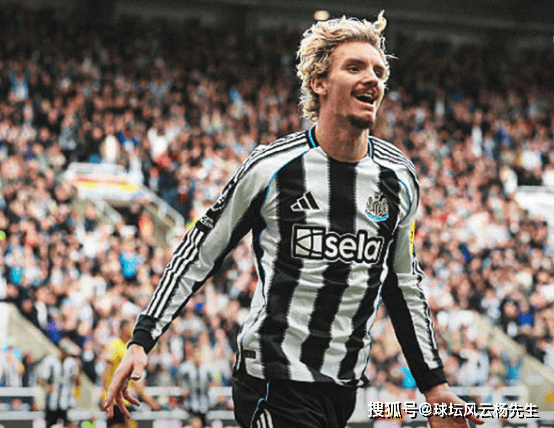 爱游戏体育app-新援首秀破门，纽卡斯尔联1-0击败狼队，狼队保级形势严峻